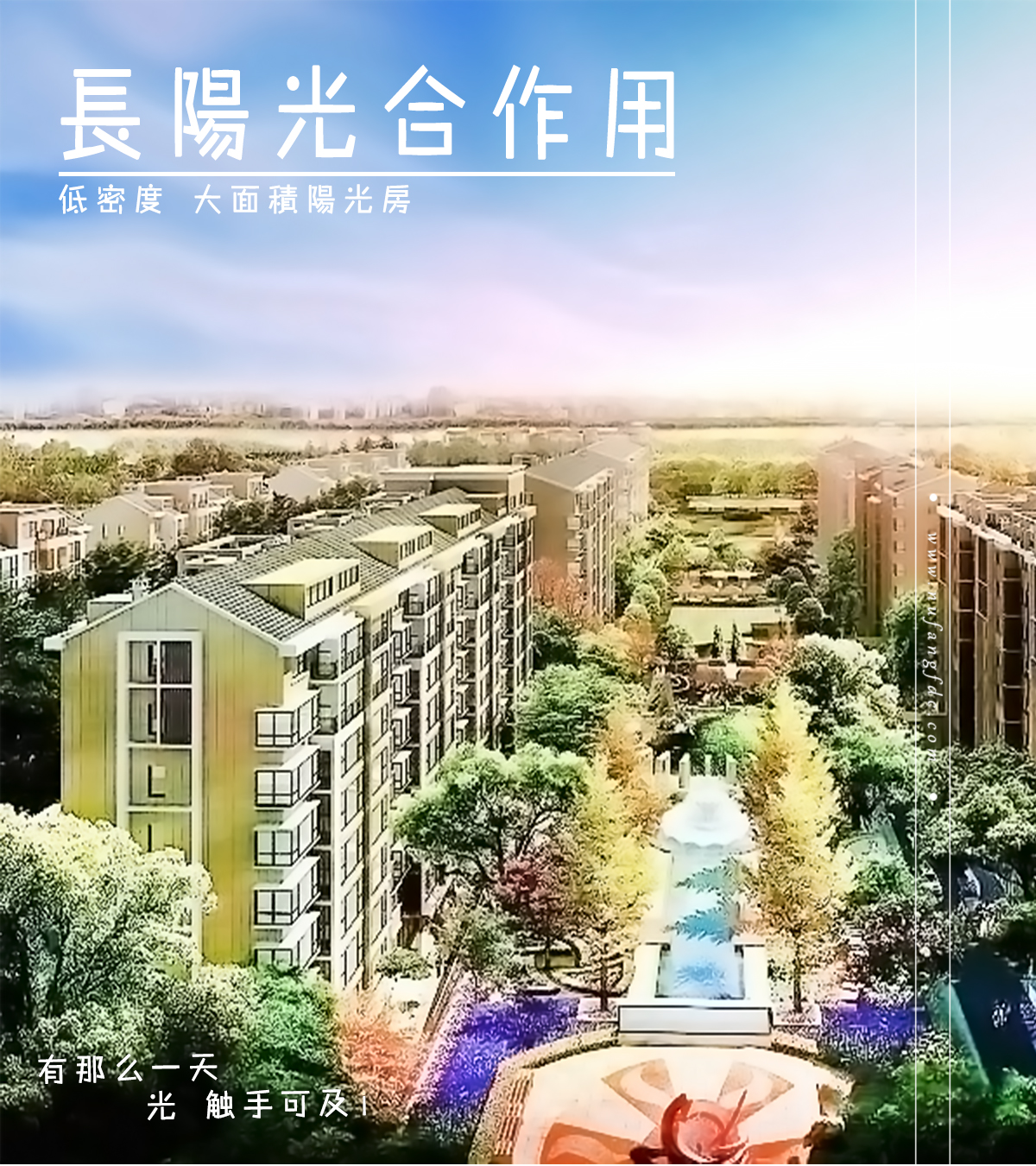 长阳光合作用_01.jpg